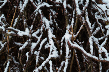 Wintereinbruch am kleinen See / Serie Bild 11
