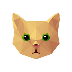 Vector cat in low poly style