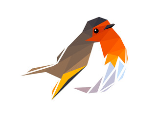 Vector bird in low poly style