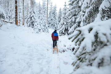 Man in ski suit pulls a sledge through a forest with a lot of snow. Forest in winter