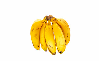 A panicle banana grown in Alanya / Turkey