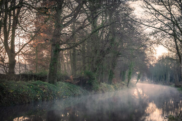 Foggy Sunrise at Irish Canal