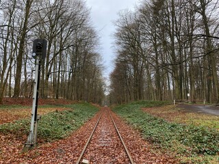 railway in the forest