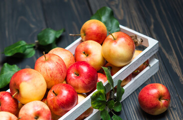 Raw Fruits. Fresh Apple Fruit . Garden Red Apples in White Wooden Box on Rustic Dark Brown Wood Table
