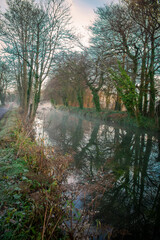 Foggy Sunrise at Irish Canal