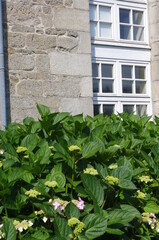 paimpol, bretagne, église, abbaye