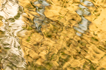 水面の金色のゆらぎ