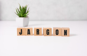 Jargon - word from wooden blocks with letters, special words and phrases jargon concept, top view on white background