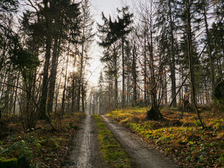 Countryside road in Sudetes mountains in Poland