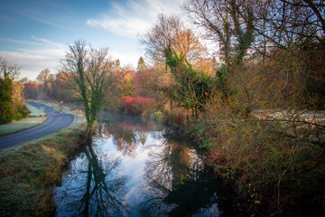 Foggy Morning at Irish Canal Road