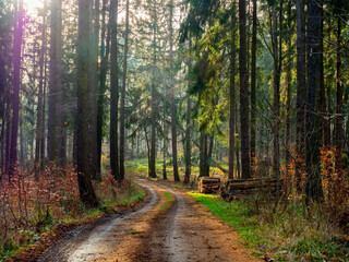 Countryside road in Sudetes mountains in Poland