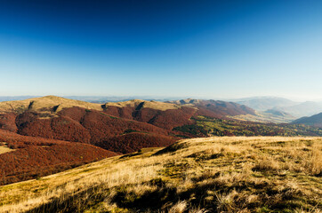 Autumn view, the way to Tarnica, Bieszczady Mountains