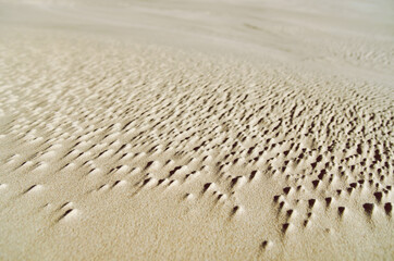 3D effect on the sand, Moving dunes in Slowinski National Park