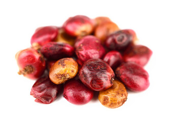 Closeup on Whole Dry Sumac (Rhus) Berry Seed. Isolated on White Background.