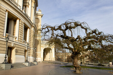 Obraz premium central street view with old architecture in the old city Opera and Ballet House Odessa Ukraine