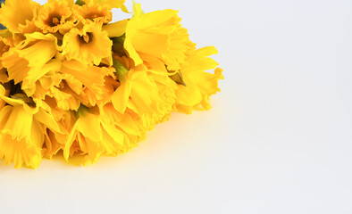 Naklejka na ściany i meble Beautiful bouquet of spring yellow narcisus flowers or daffodils on white background.