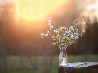 Spring cherry bouquet in a glass vase outdoors.