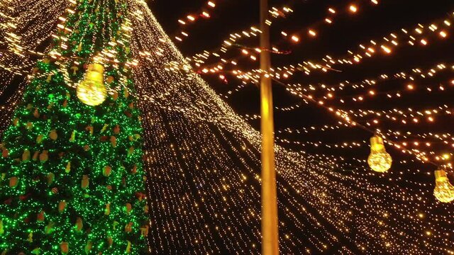 Illuminated Christmas tree on Sofia Square in Kyiv.