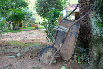 Pushcart resting on a mango tree, on a farm