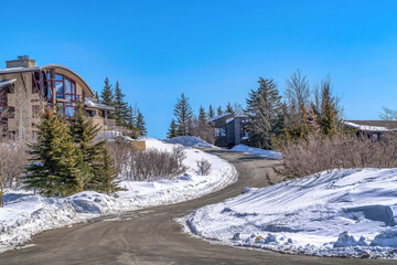 Obraz premium Curvy paved road on a snowy neighborhood with houses amid snow and trees