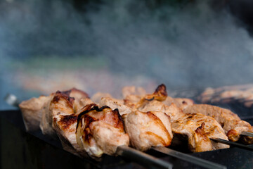 Shish kebab on skewers is fried on coals. Outdoor recreation, cooking on the grill.Isolation in nature