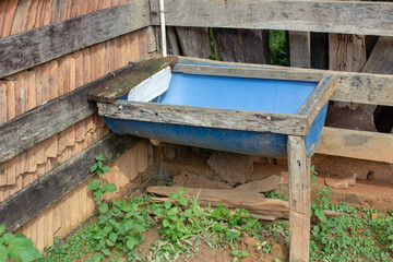 Plastic drinking fountain used by cattle