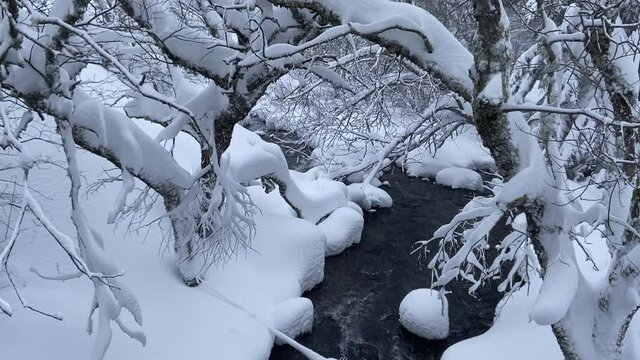 La Dordogne enneig&eacute; au Mont Dore en hiver, Auvergne
