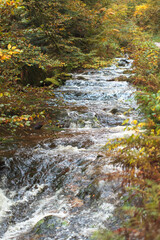 waterfall and river at autumn, colored lives