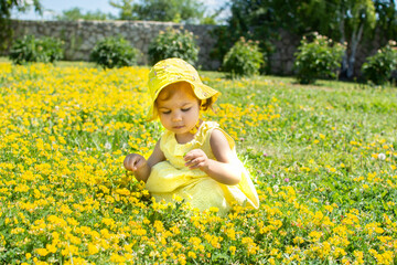 Fototapeta premium Portrait of adorable cute baby girl playing with flowers outdoors. Beautiful panoramic view on background. Pretty kid relaxing outside. Summer vacation. Toddler child in summer nature.