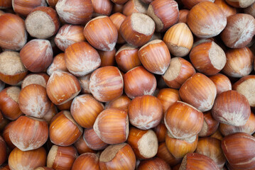 Top view, Pile of Hazelnuts background.