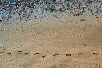 Single track of footsteps