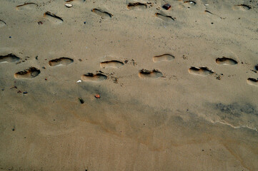 Single track of footsteps