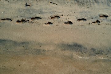Single track of footsteps