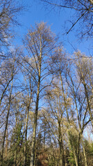 Ribeiro do Matadouro Urban Park in Santo Tirso, Portugal. The “Interpretive Sculptures” are urban elements, generators of multifunctional space appropriation that assure public space life.
