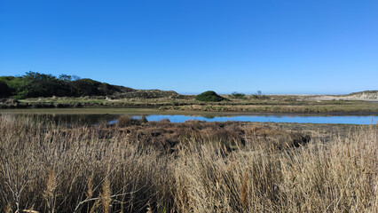 The mouth and estuary of Neiva River in Antas, Esposende, Portugal. The Ecovia Litoral Norte (North Coast Ecoway) wooden boardwalk.