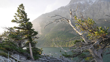 snow covered mountains