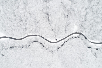 Aerial view of a road in the middle of the white forest