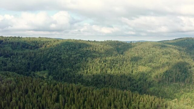 Aerial drone view of panoramic natural landscape. Dense green forest and mountains, beautiful cloudy sky