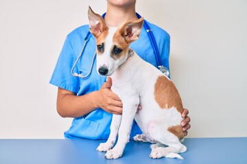 Young puppy at the veterinarian going to health checkup, professional examining dog using stethoscope