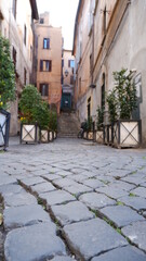 Fototapeta na wymiar Street withpots and plants in the city of Rome, Italy