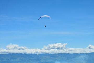 FLY