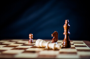 Chess Fallen White King
