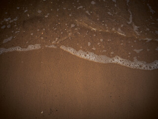 baltic sea shore with sea shells