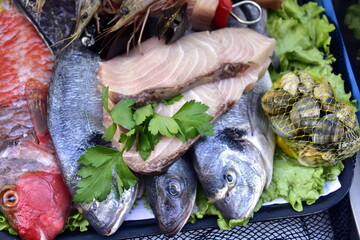 fish, seafood, gastronomy, Madeira island Ocean, Portugal, Funchal City © Albin Marciniak