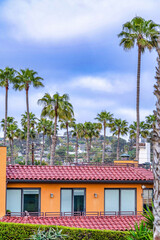 Fototapeta na wymiar San Diego California landscape with homes and palm trees against cloudy blue sky
