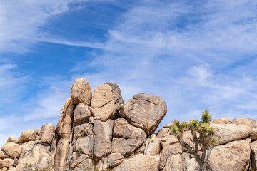 Huge rocks formation and Joshua Trees at Joshua Tree California on a sunny day