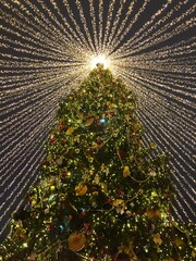 christmas tree and decorations