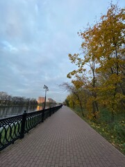 bridge in autumn
