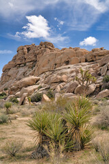 Mountain of rugged rocks and Joshua trees at Joshua Tree National Park desert