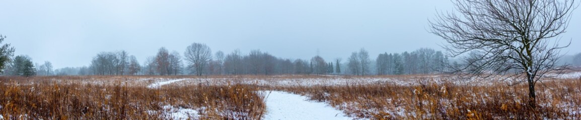 Beautiful snowy landscape seen while hiking. There is a fresh coat of bright white snow on the ground and a colorful plain of yellow and brown foliage on either side of a hiking path.